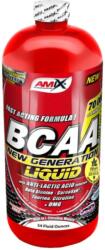 Amix Nutrition BCAA NEW Generation 500ml - Red Raspberry 00012-500-red-ras - weplaybasketball