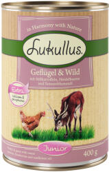 Lukullus Lukullus 11 + 1 gratis! 12 x 400 g Hrană umedă câini - Junior Pasăre & vânat (fără cereale)