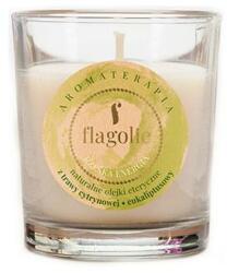 Flagolie Lumânare aromatică în pahar Energy - Flagolie Fragranced Candle Right Energy 70 g
