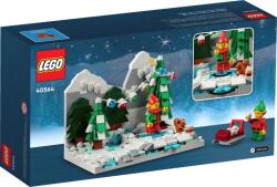 LEGO® Téli manók (40564)