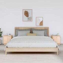 vidaXL Noptiere, 2 buc. , 40x34x45 cm, lemn masiv de pin (818276)