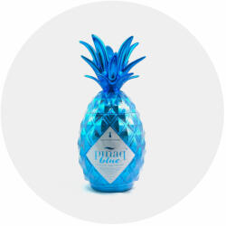 Pinaq Ликьор Pinaq Blue, 1.00