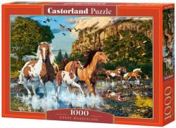 Castorland Puzzle Castorland din 1000 de piese - Cai în râu (C-104789-2)