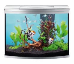 Tetra Aquaart Evolution (130 L)