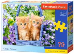 Castorland Puzzle Castorland din 70 de piese - Pisicuțe drăguțe (B-070169)