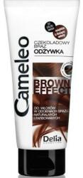 Delia Balsam cu nuanță maro pentru păr - Delia Cosmetics Cameleo Brown Effect 200 ml