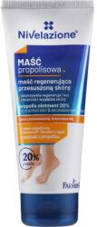 Farmona Unguent cu propolis pentru picioare - Farmona Nivelazione 20% Propolis Ointment for Cracked Skin 75 ml