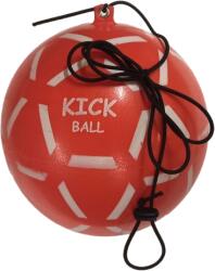 Plasto Ball Kick ball 305162
