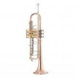 Garry Paul GP TR-8332QSN Bb trombita