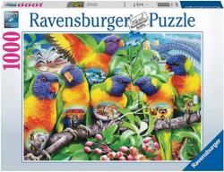 Ravensburger Lóri papagájok 1000 db-os (16815)