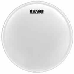 Evans B10UV1 UV1 10 Coated dobbőr