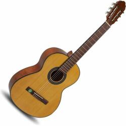 VGS Student (VG500.178) Solid Top 4/4-es natúr klasszikus gitár