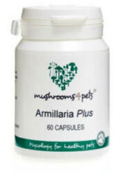  Armillaria Plus 450 mg 60 db