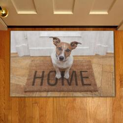 Oyo home Dog Oyo Home bejárati szőnyeg, 58x38 cm, 100% poliészter