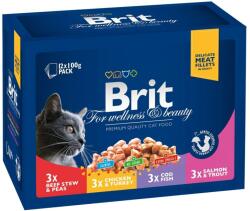 Brit Premium Cat Family multipack, alutasakos macskaeledel, 12x100 g