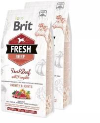 Brit Fresh Beef with Pumpkin Puppy Large 2x2, 5kg