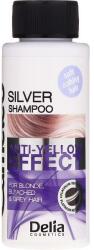 Delia Cosmetics Șampon pentru păr blond Silver - Delia Cosmetics Cameleo Silver Shampoo 50 ml