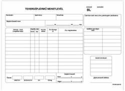 BlueRing Tehergépjármű menetlevél a4, 100 lapos d. gepj. 21/uj bluering® (NYOMTDGEPJ21UJ) - pepita