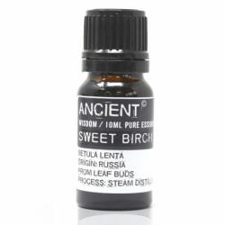 Ancient Wisdom Nyírfa illóolaj 10 ml