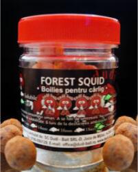 Dudi Bait Boilies Carlig Forest Squid Caramel Tari 16mm