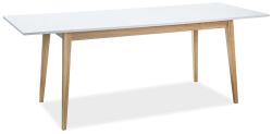  Étkezőasztal, fehér/matt/tölgy, CESAR 120 (165) x68