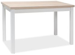 Étkezőasztal fehér/matt/tölgy, ADAM 100x60 - scandishop - 55 558 Ft