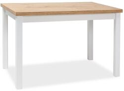  Étkezőasztal fehér/matt/tölgy lancelot, ADAM 120x68