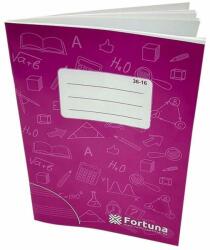 Fortuna A/5 hangjegy füzet 36-16 (Fort01.01723)
