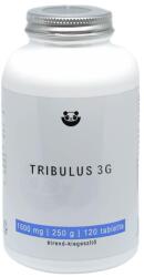 Tribulus Terrestris 3G királydinnye - 120 tabletta - Panda Nutrition