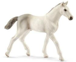 Schleich Mânz Holstein (OLP102613860) Figurina