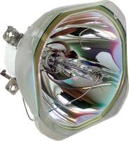 Epson EH-TW9300 lampă originală fără modul (ELPLP89)