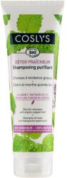 Coslys Șampon cu extract de mentă pentru păr gras - Coslys Shampoo with organic peppermint 250 ml
