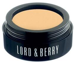 Lord&Berry Concealer cremos pentru față - Lord & Berry Flawless Creamy Concealer 1512 - Tanned Beige