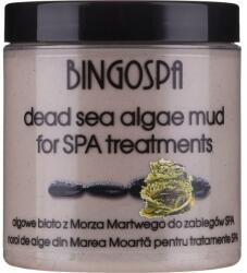 BingoSpa Mască de nămol cu alge din Marea Moartă - BingoSpa 250 g