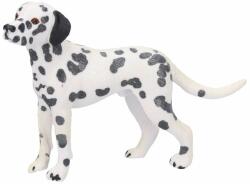 Atlas Câine dalmatian (WKW001784)