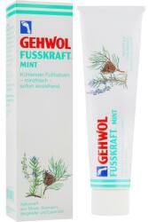 GEHWOL Balsam cu mentă - Gehwol Fusskraft mint 125 ml