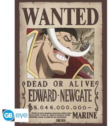 Abysse Corp ONE PIECE poszter Wanted Whitebeard 52x38 (GBYDCO263)