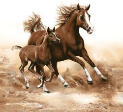  Decoupage szalvéták Horses - 1 db (Decoupage szalvéták)