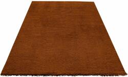  Covor Shaggy Desner maro, 200/200 cm (565732/5) Covor