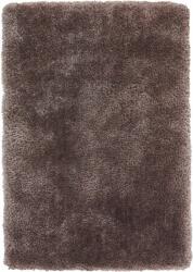  Covor Shaggy Micro exclusiv taupe, 200/300 cm (18849438b) Covor
