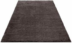  Covor Shaggy Soft gri inchis, 160/230 cm (359074/4) Covor