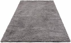  Covor Shaggy Kartal Theko Exklusiv gri 120/180 cm (73382401a) Covor
