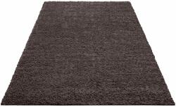  Covor Shaggy gri inchis, 60/90 cm (198716a) Covor