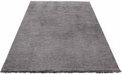  Covor Shaggy Desner, gri 200/300 cm (566090/6) Covor