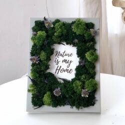 ImodFlowers Tablou cu Licheni Decorativi Naturali și Flori Conservate