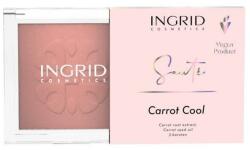 Ingrid Cosmetics Blush - Ingrid Cosmetics Saute Carrot Cool Blush 7 g