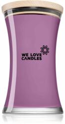  We Love Candles Basic Lavender & Herbs illatgyertya fa kanóccal 700 g