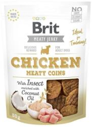 Brit Jerky Snack Monede de pui cu carne cu insecte 80g