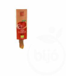  Csinta bio gyümölcstekercs alma 10 g