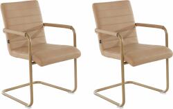  Set 2 scaune Amadis sampanie 55/63/86 cm (10514953)